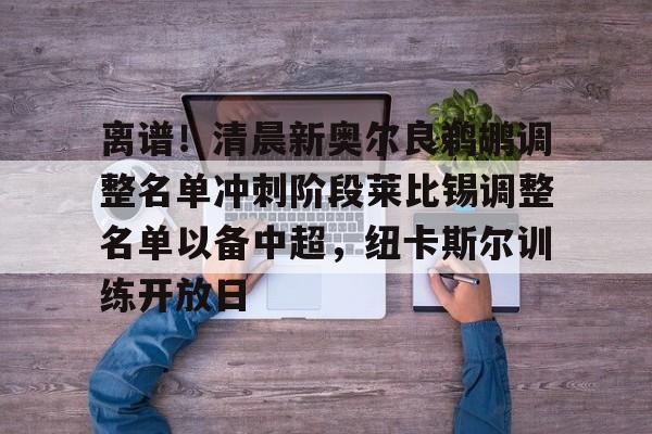 万博max网页版-离谱！清晨新奥尔良鹈鹕调整名单冲刺阶段莱比锡调整名单以备中超，纽卡斯尔训练开放日(鹈鹕简介)